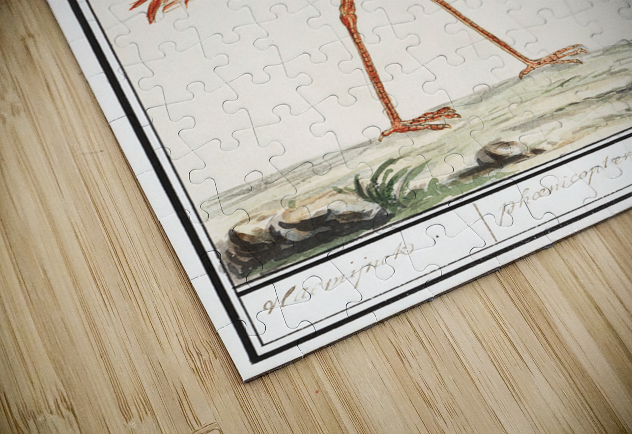 Flamingo in vintage style IStockHistory com Puzzle