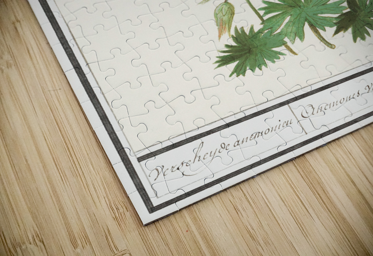 Anemone in vintage flower IStockHistory com Puzzle