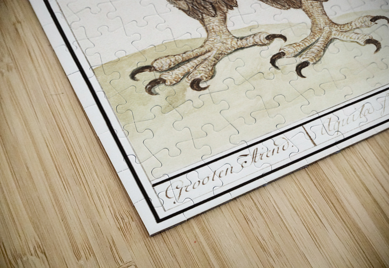 White-tailed eagle in vintage style IStockHistory com Puzzle