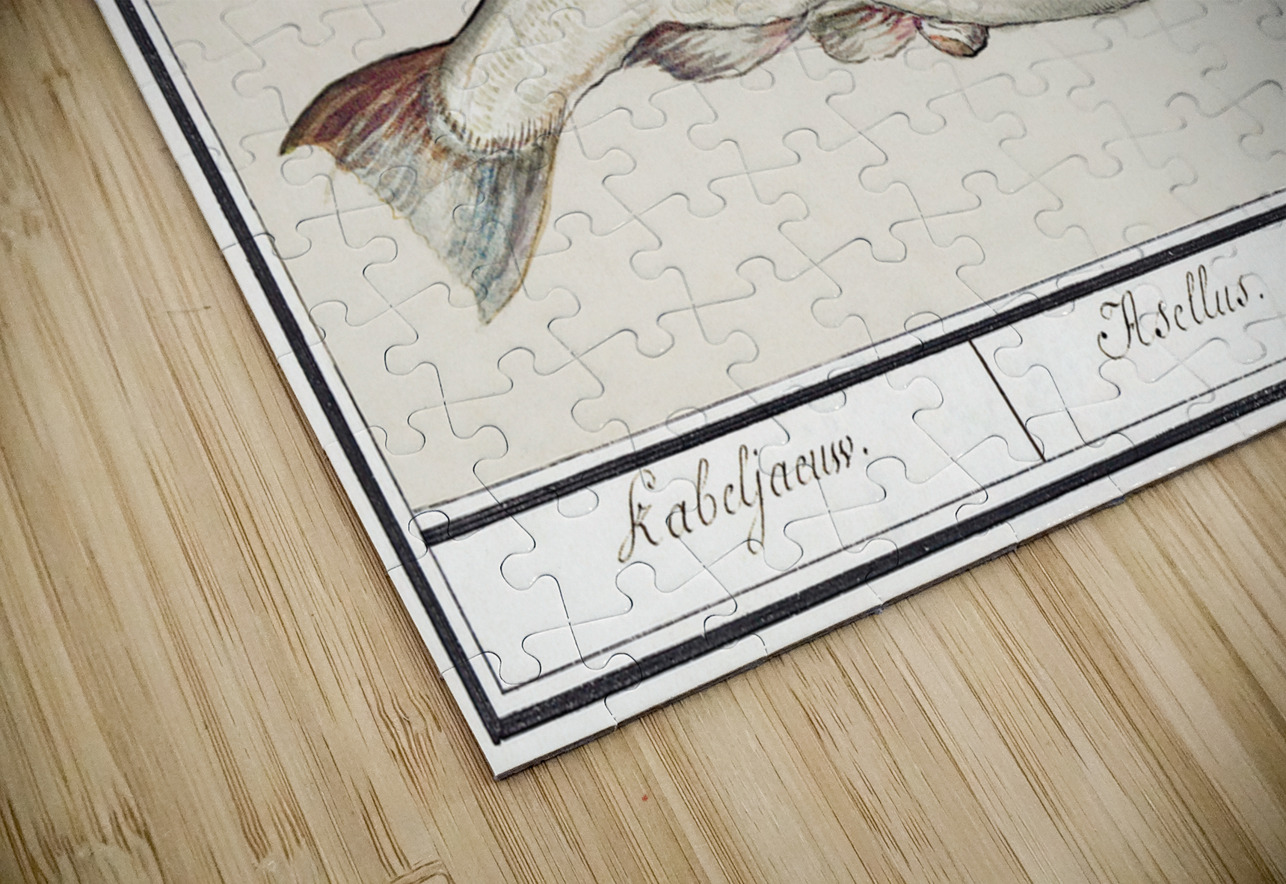 Cod in vintage style IStockHistory com Puzzle