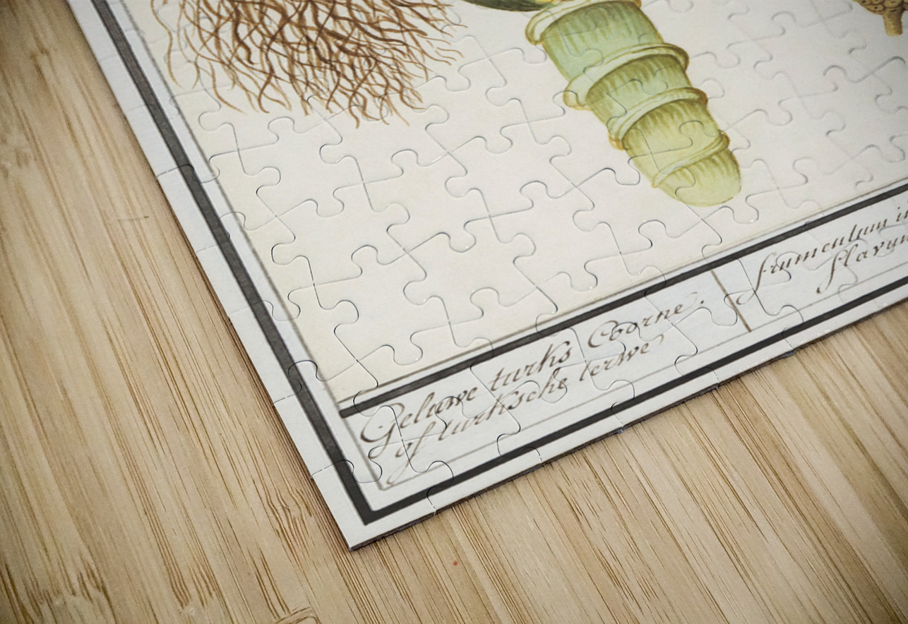 Corn in vintage style IStockHistory com Puzzle