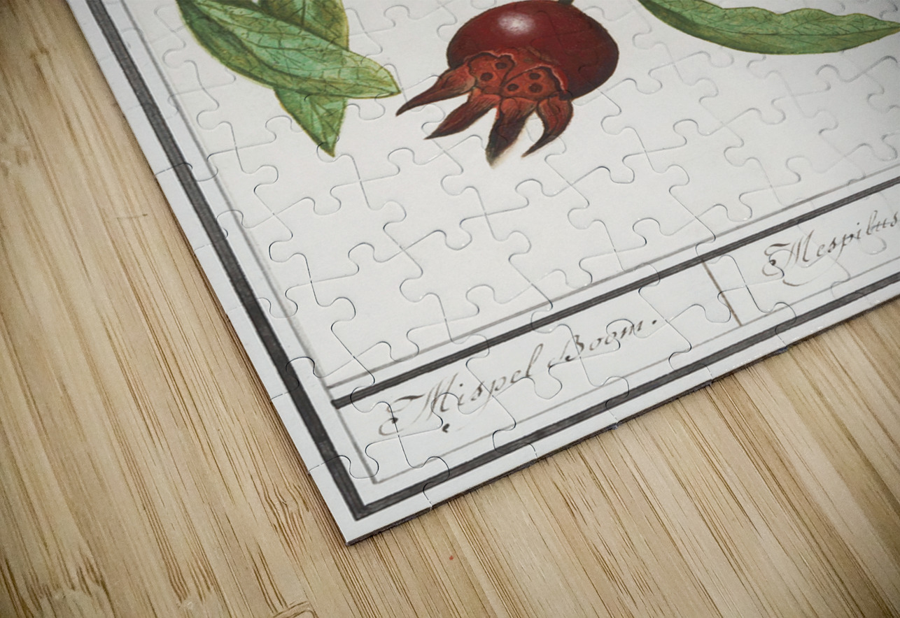 Medlar in vintage style IStockHistory com Puzzle