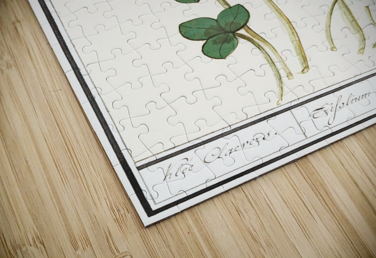 Dogstand flower wild rose and papaver IStockHistory com Puzzle