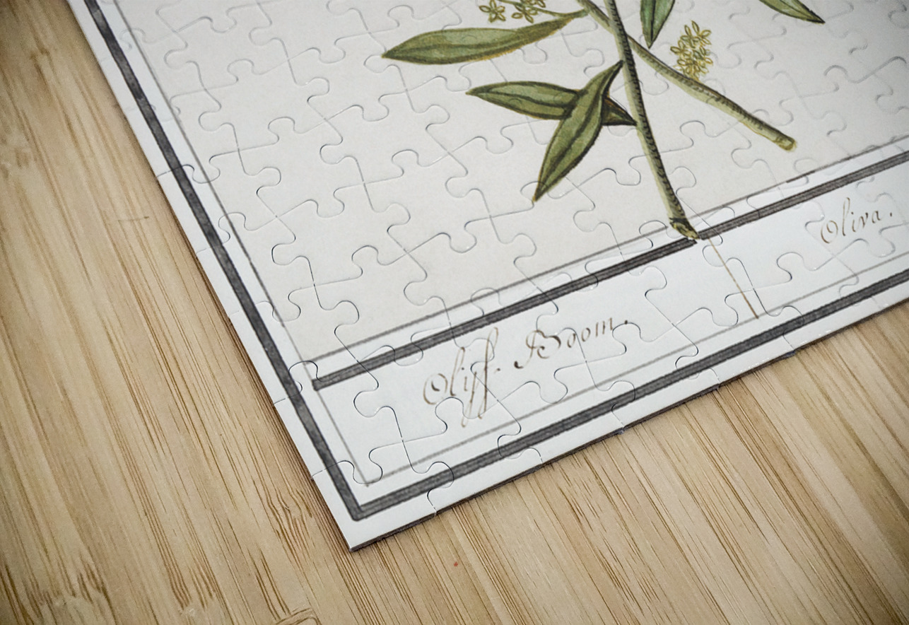 Olive in vintage style IStockHistory com Puzzle