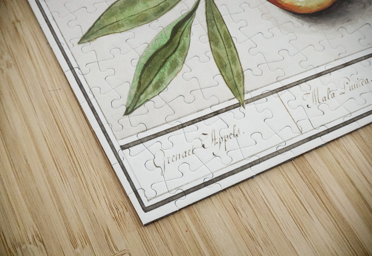 Olive in vintage style IStockHistory com Puzzle