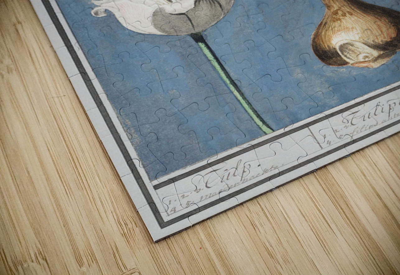 Tulip in vintage style IStockHistory com Puzzle