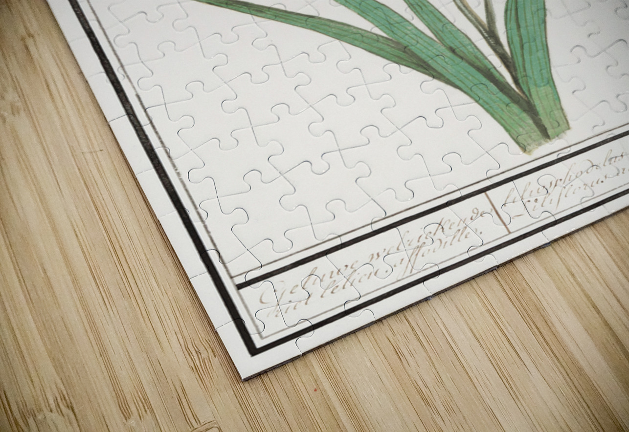 Yellow lily in vintage style IStockHistory com Puzzle