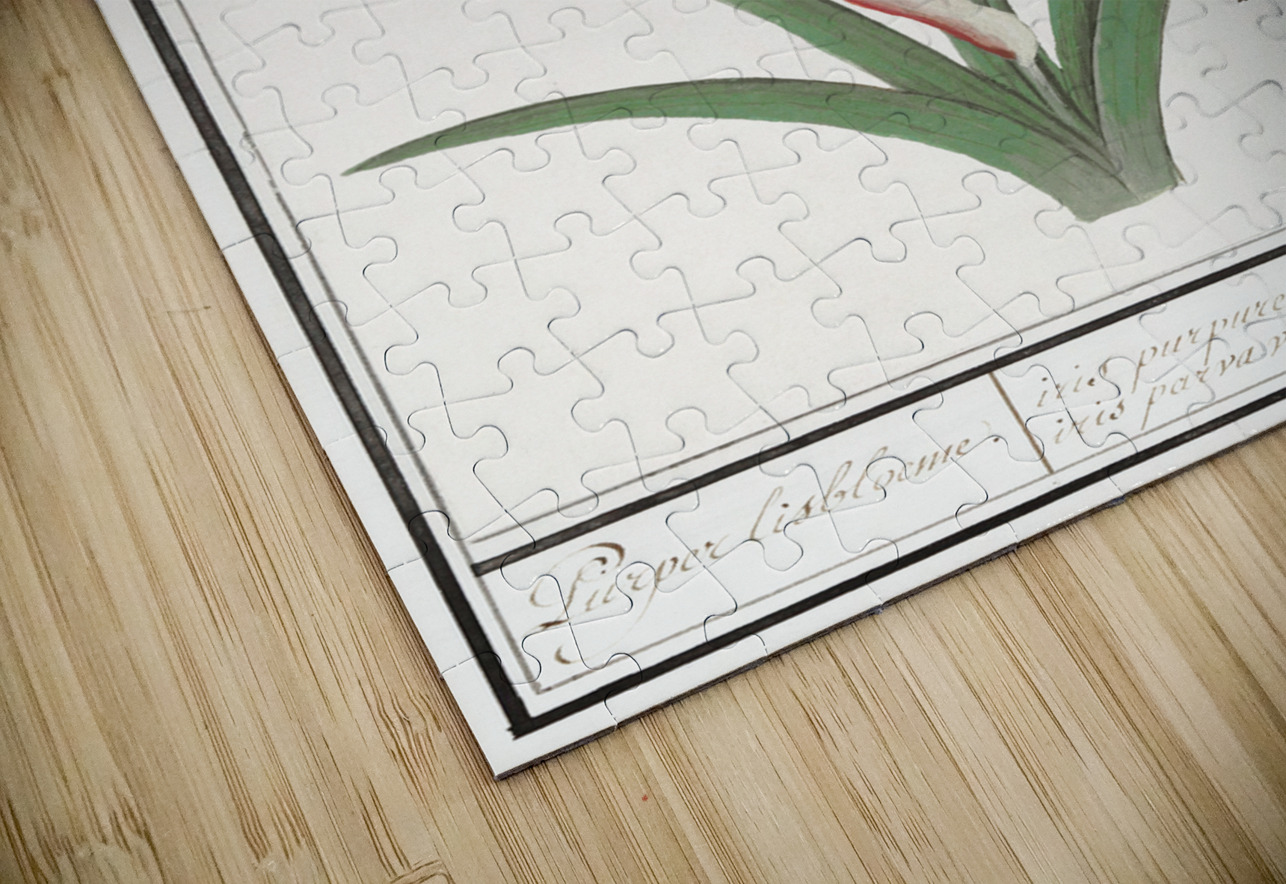 Purple iris in vintage style IStockHistory com Puzzle