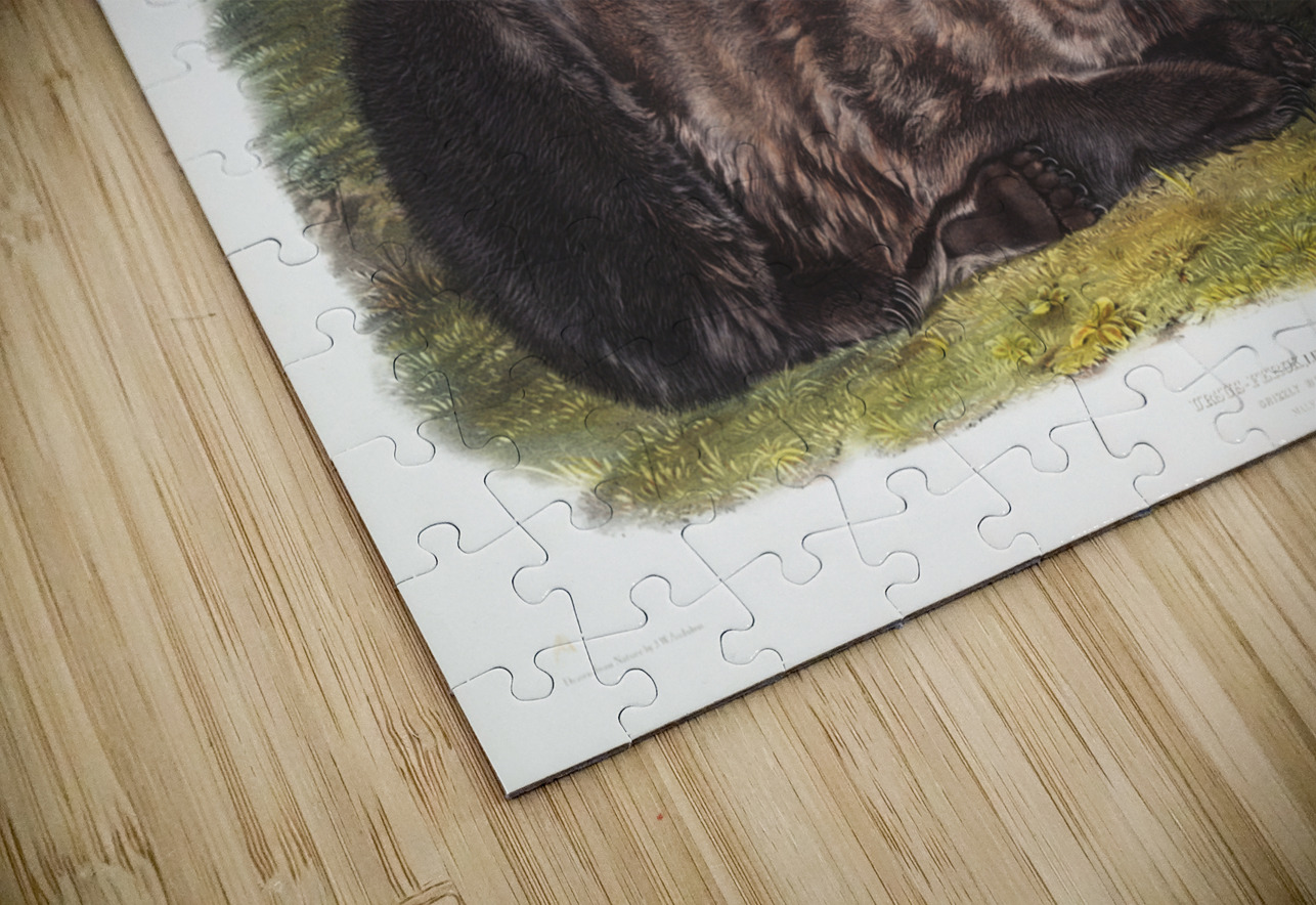 Pouched Jerboa Mouse Dipodomys Phillipsii  IStockHistory com Puzzle