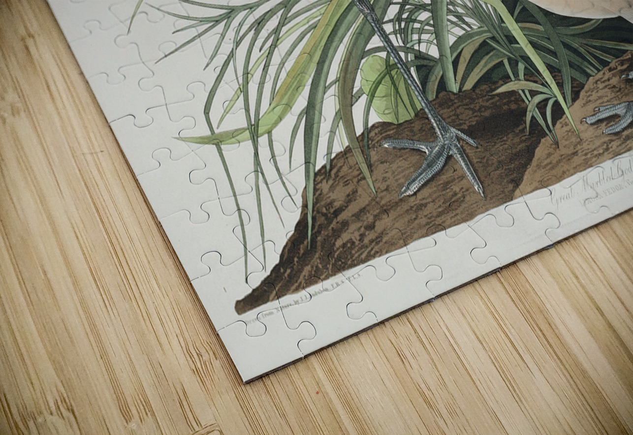 Great Marbled Godwit IStockHistory com Puzzle