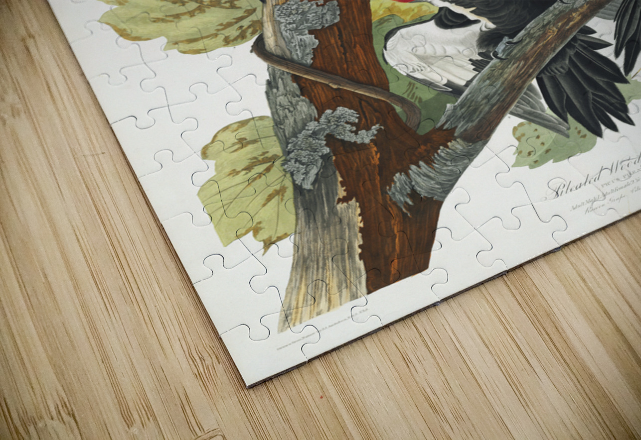 Pileated Woodpecker IStockHistory com Puzzle