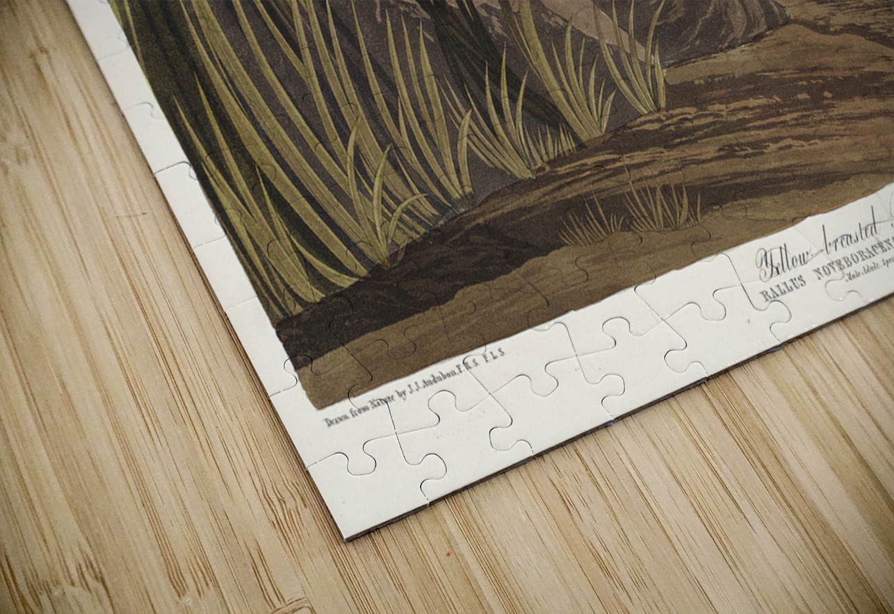 Yellow-breasted Rail IStockHistory com Puzzle