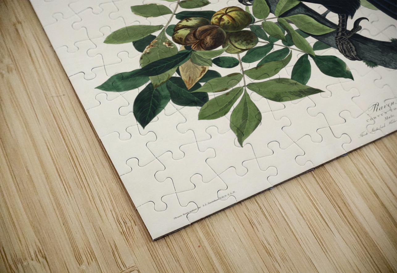 Raven IStockHistory com Puzzle