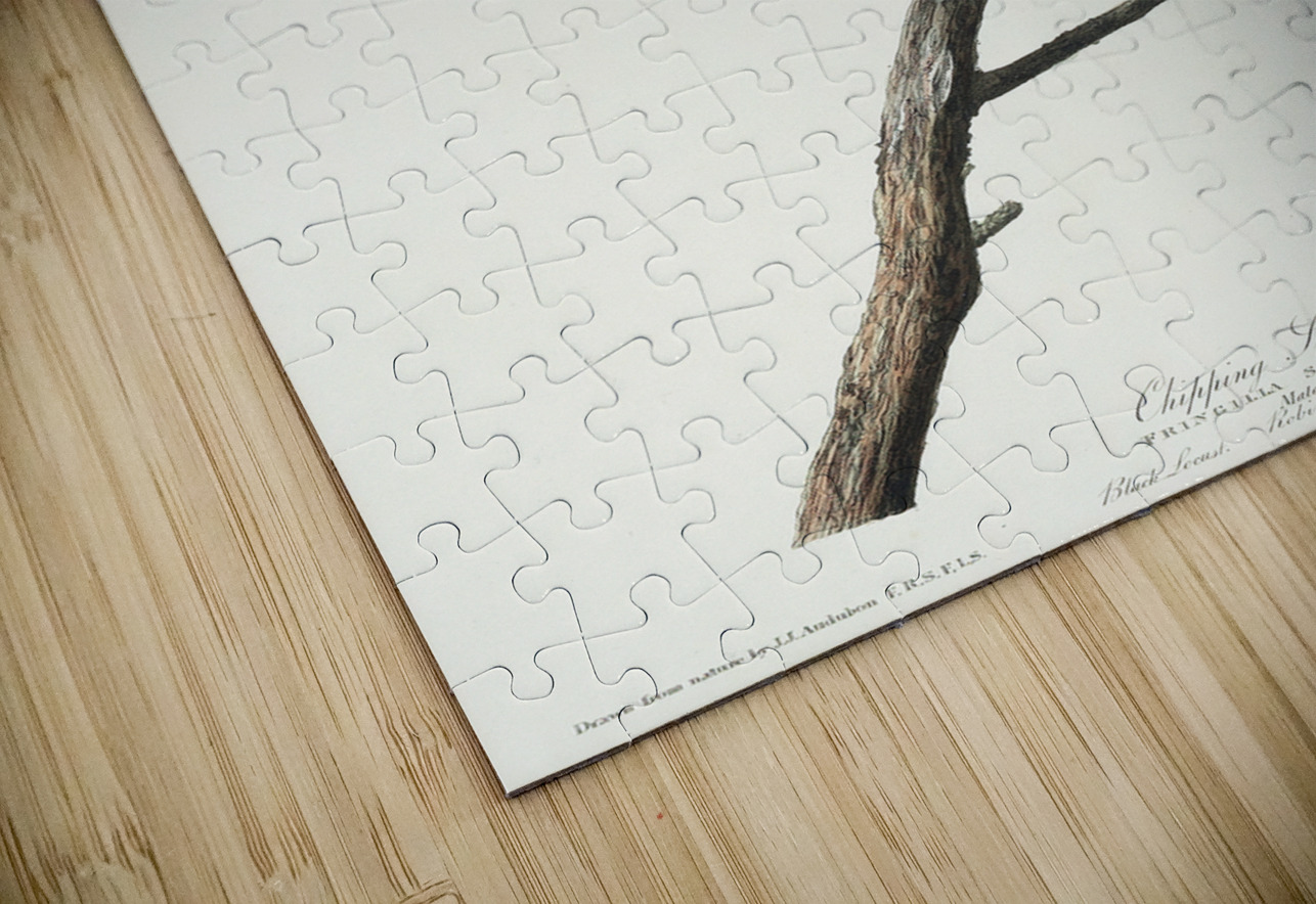 Chipping Sparrow IStockHistory com Puzzle