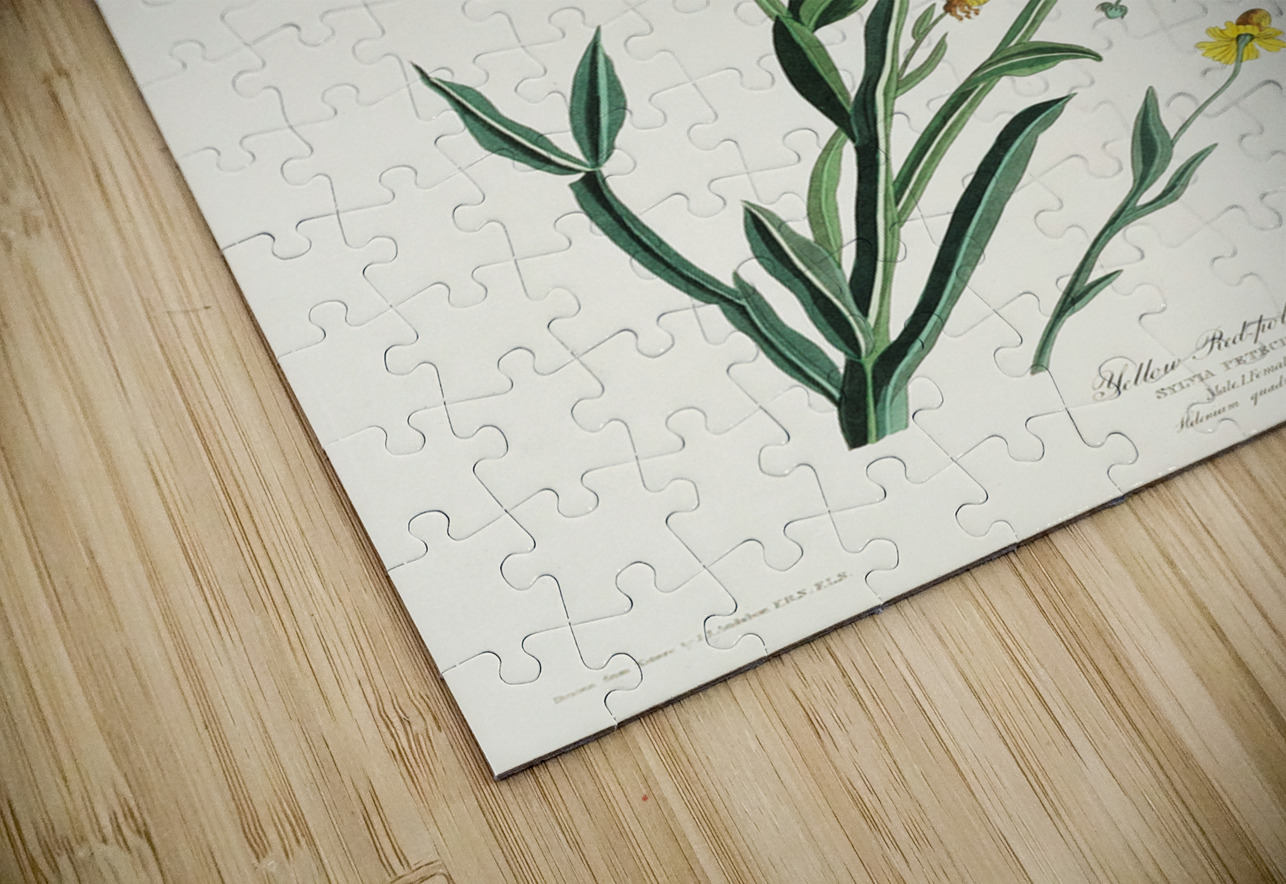 Yellow Red-poll Warbler IStockHistory com Puzzle