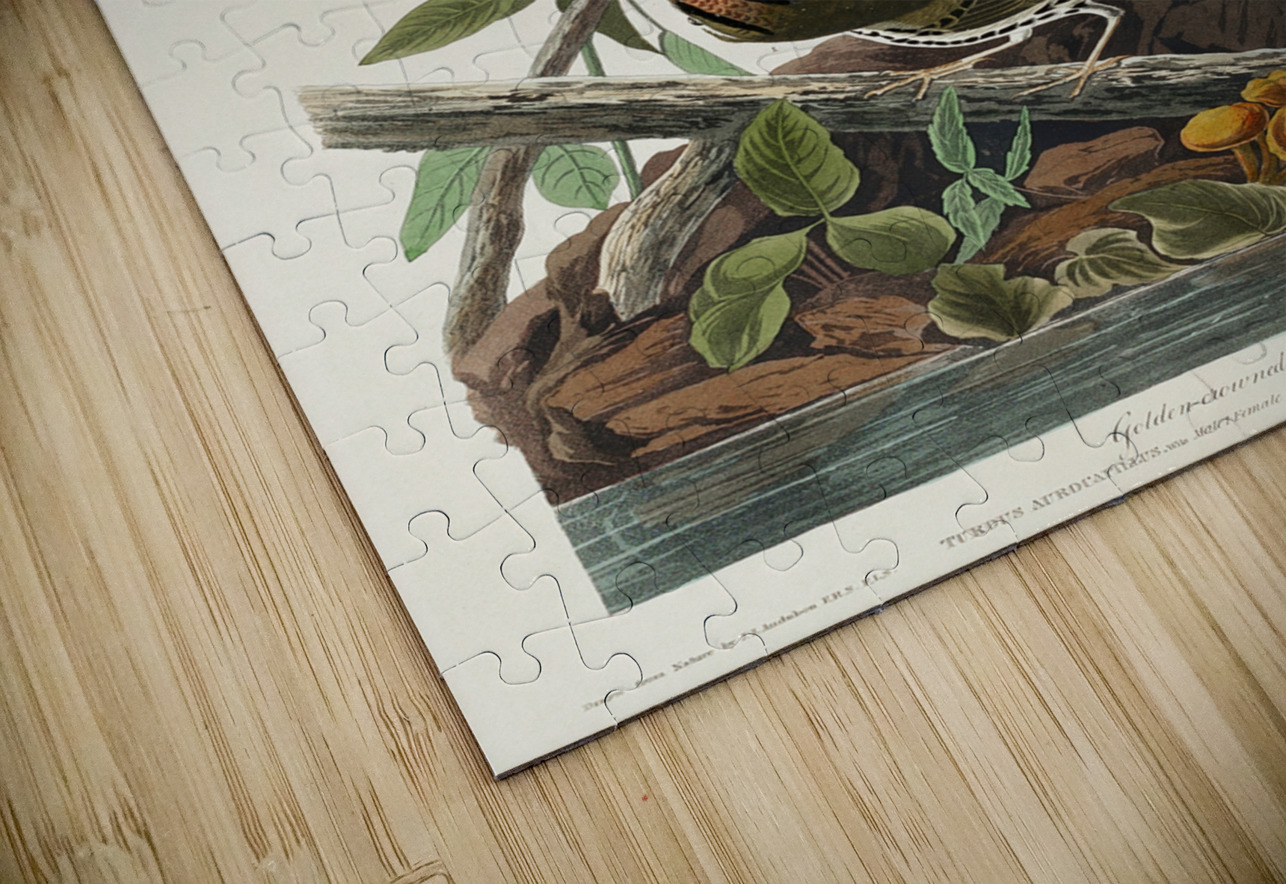 Golden-crowned Thrush IStockHistory com Puzzle