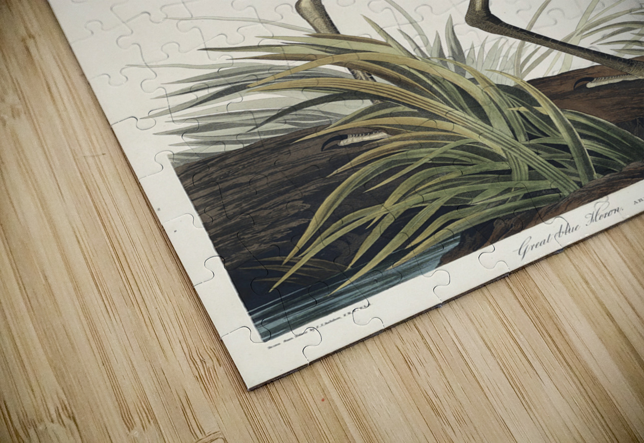 Golden-crowned Thrush IStockHistory com Puzzle