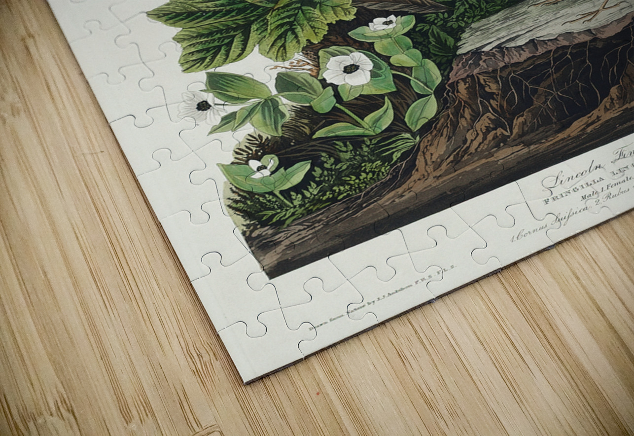 Lincoln Finch IStockHistory com Puzzle