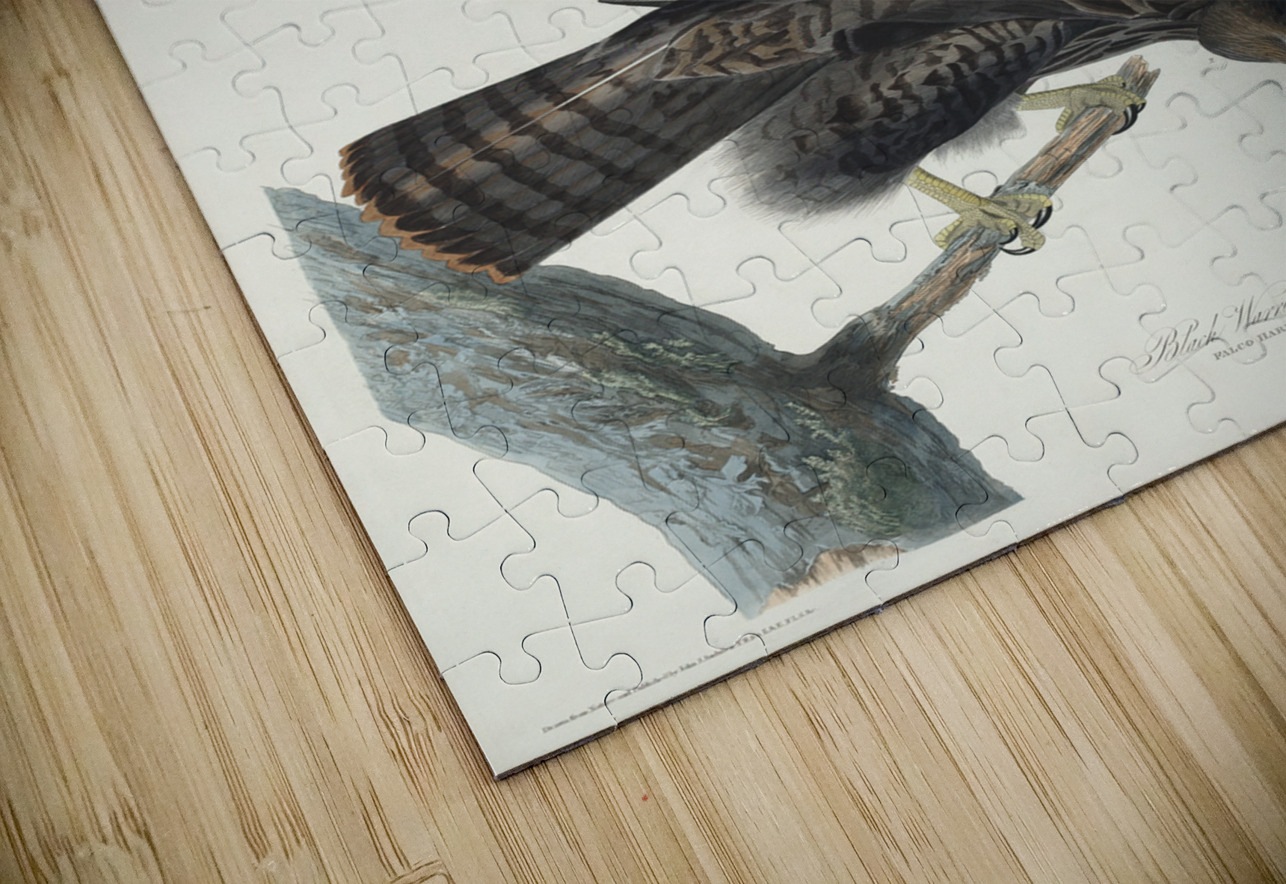 Black Warrior IStockHistory com Puzzle