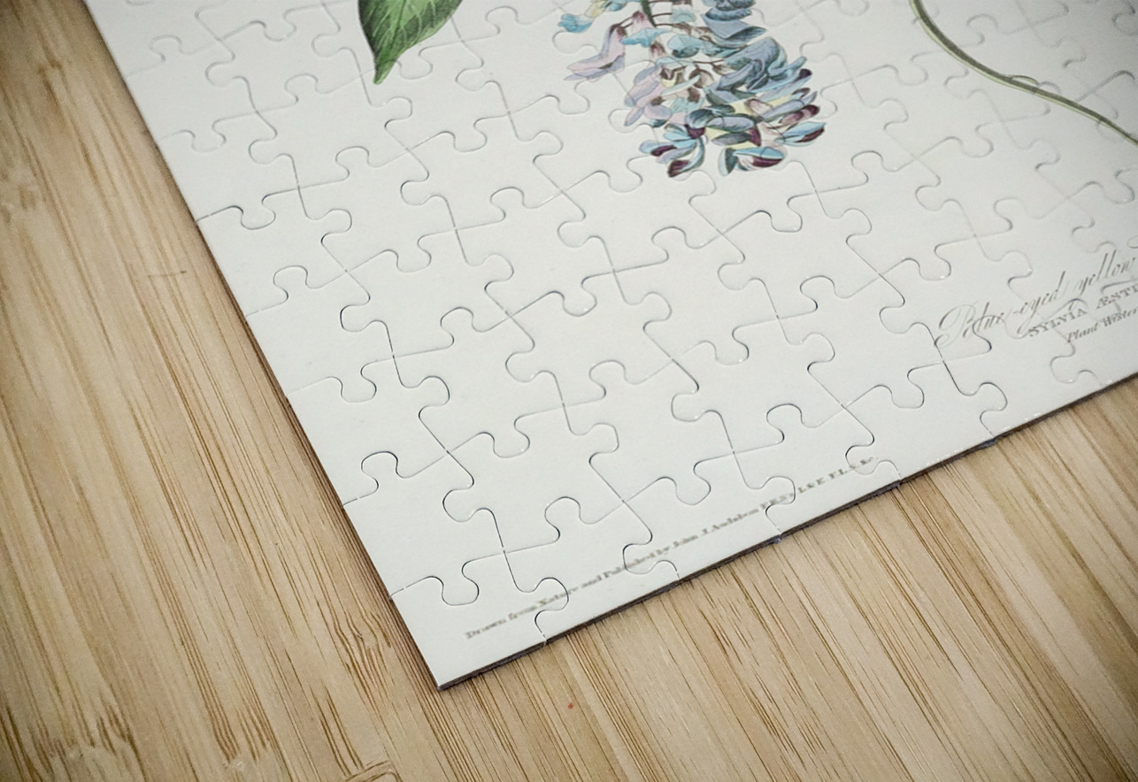 Blue-eyed yellow Warbler IStockHistory com Puzzle