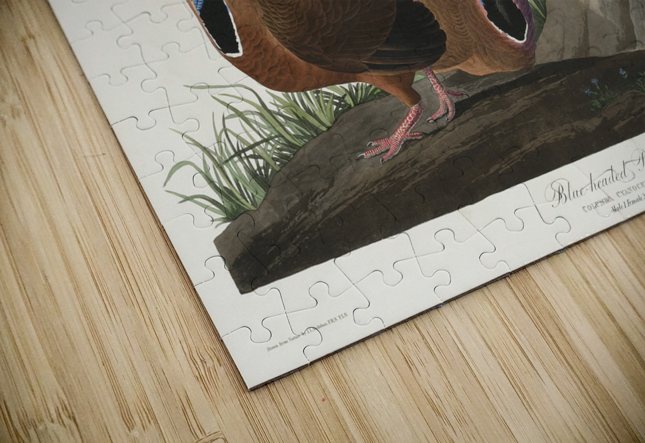 Roseate Spoonbill IStockHistory com Puzzle