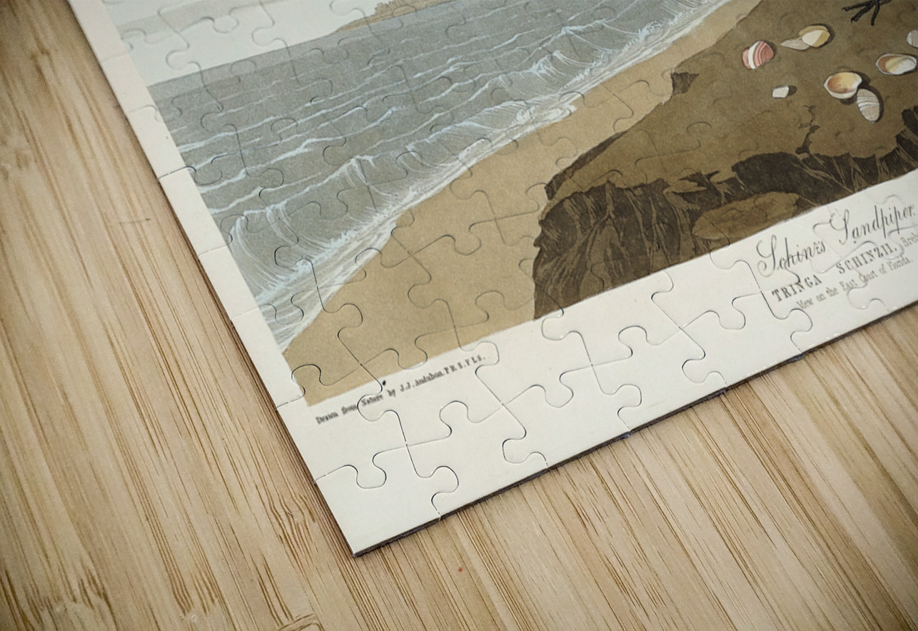 Purple Finch IStockHistory com Puzzle