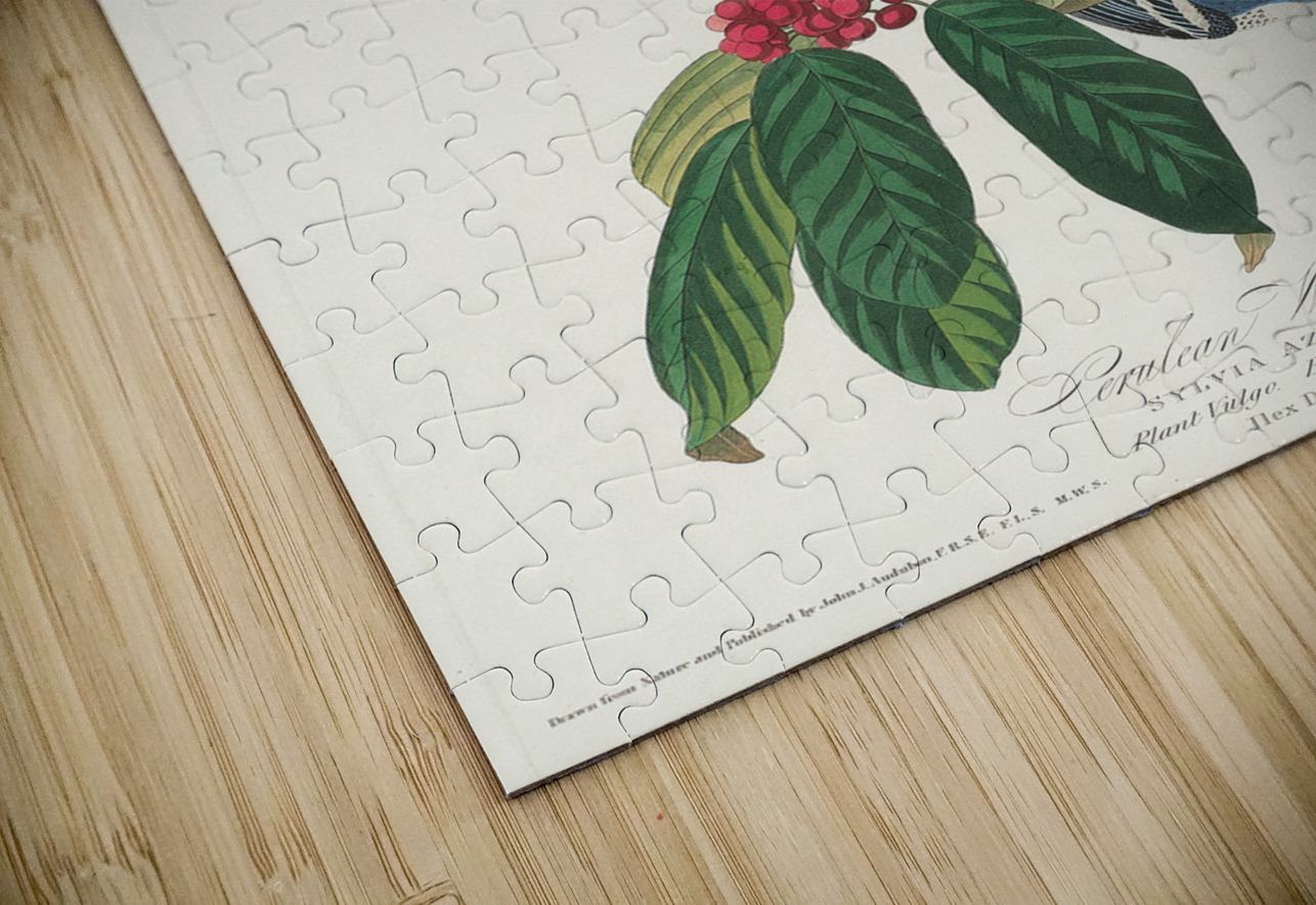 Fish Crow IStockHistory com Puzzle