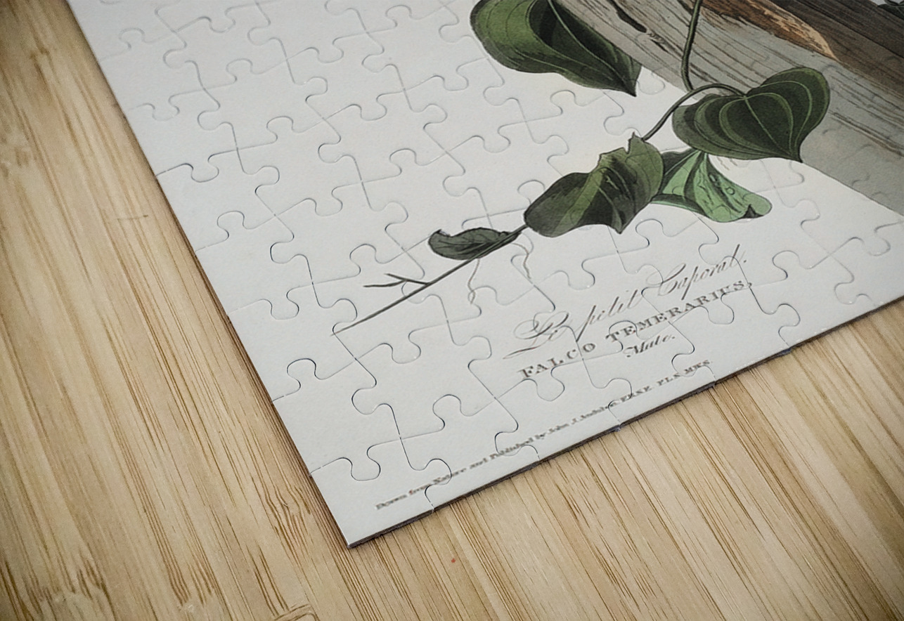 Le Petit Caporal IStockHistory com Puzzle