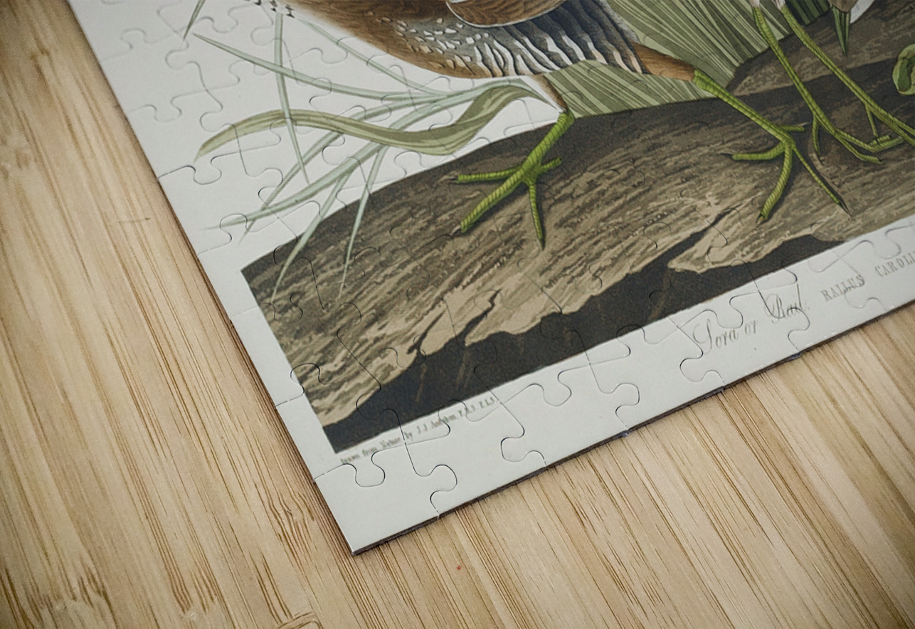 Sora or Rail IStockHistory com Puzzle