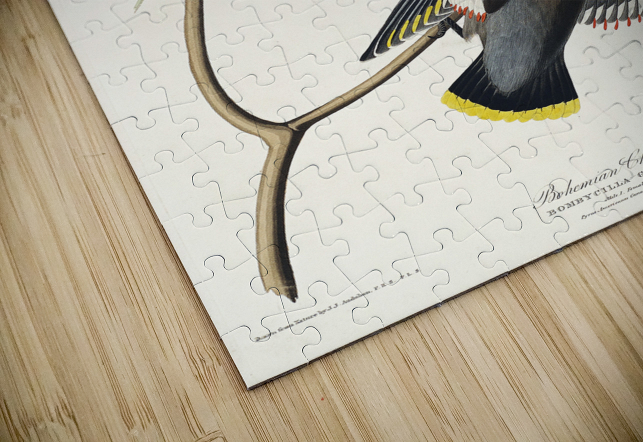 Rusty Grakle IStockHistory com Puzzle