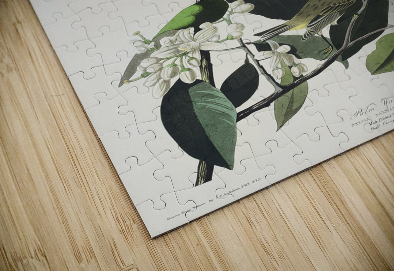 Palm Warbler IStockHistory com Puzzle