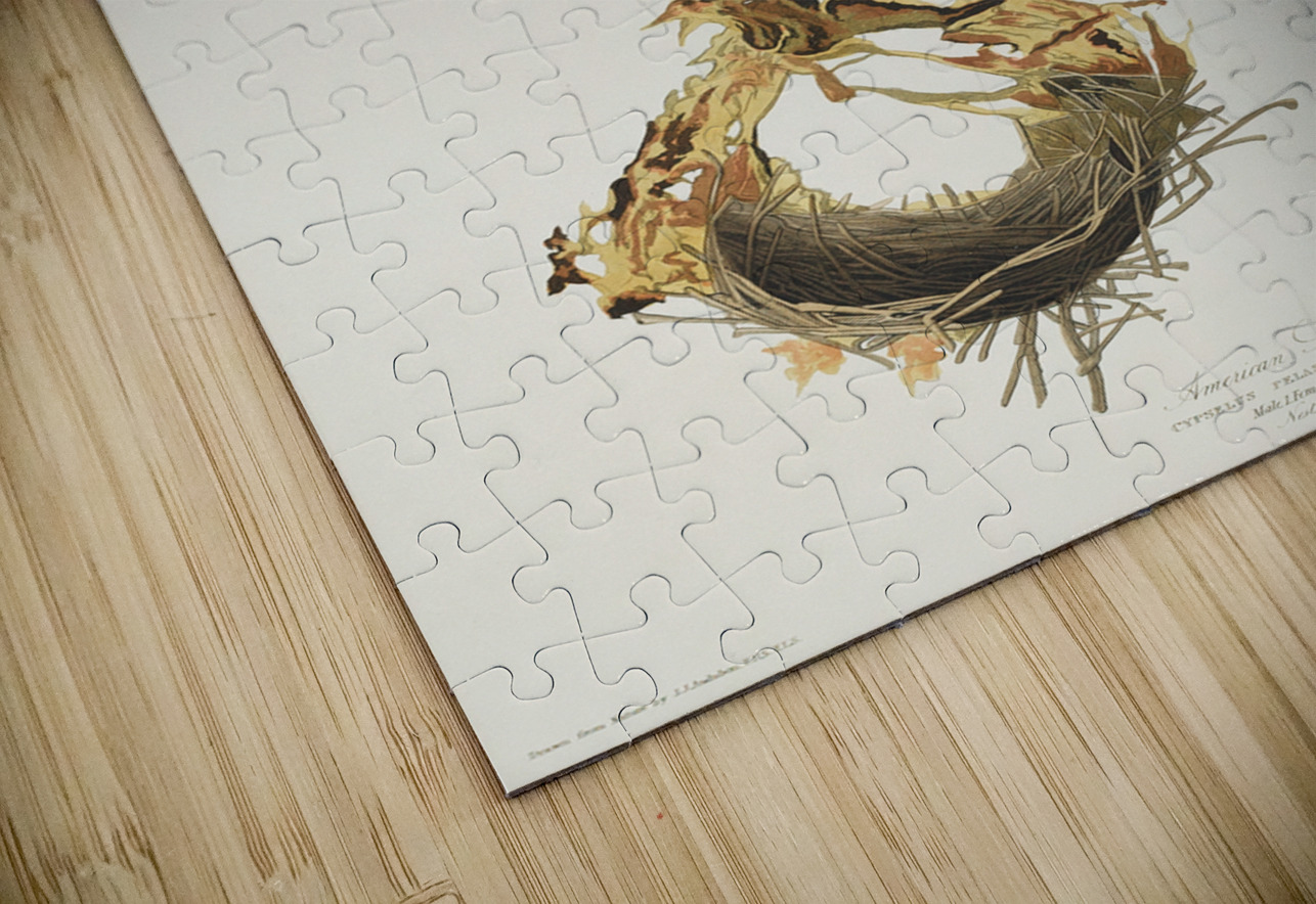 American Swift IStockHistory com Puzzle