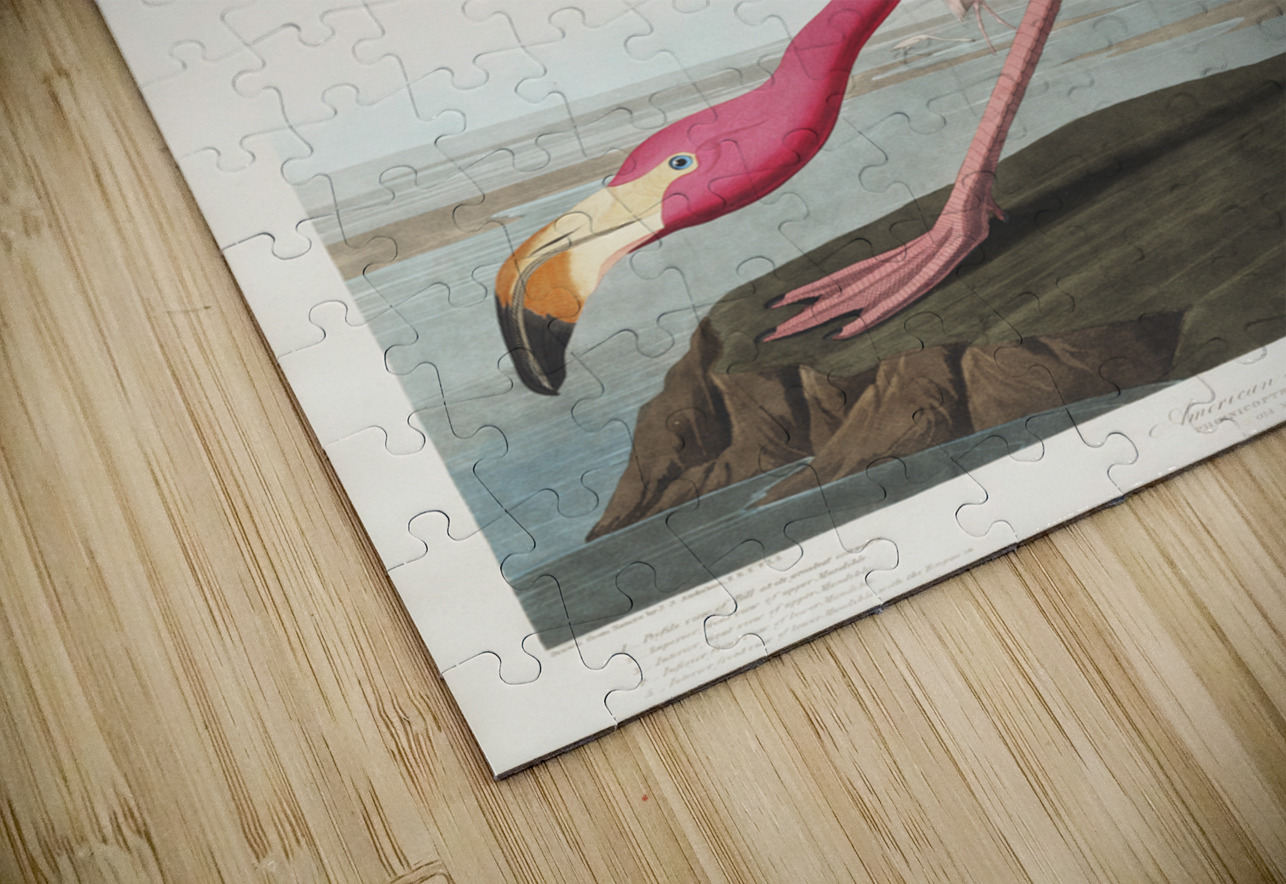 Pink flamingo IStockHistory com Puzzle