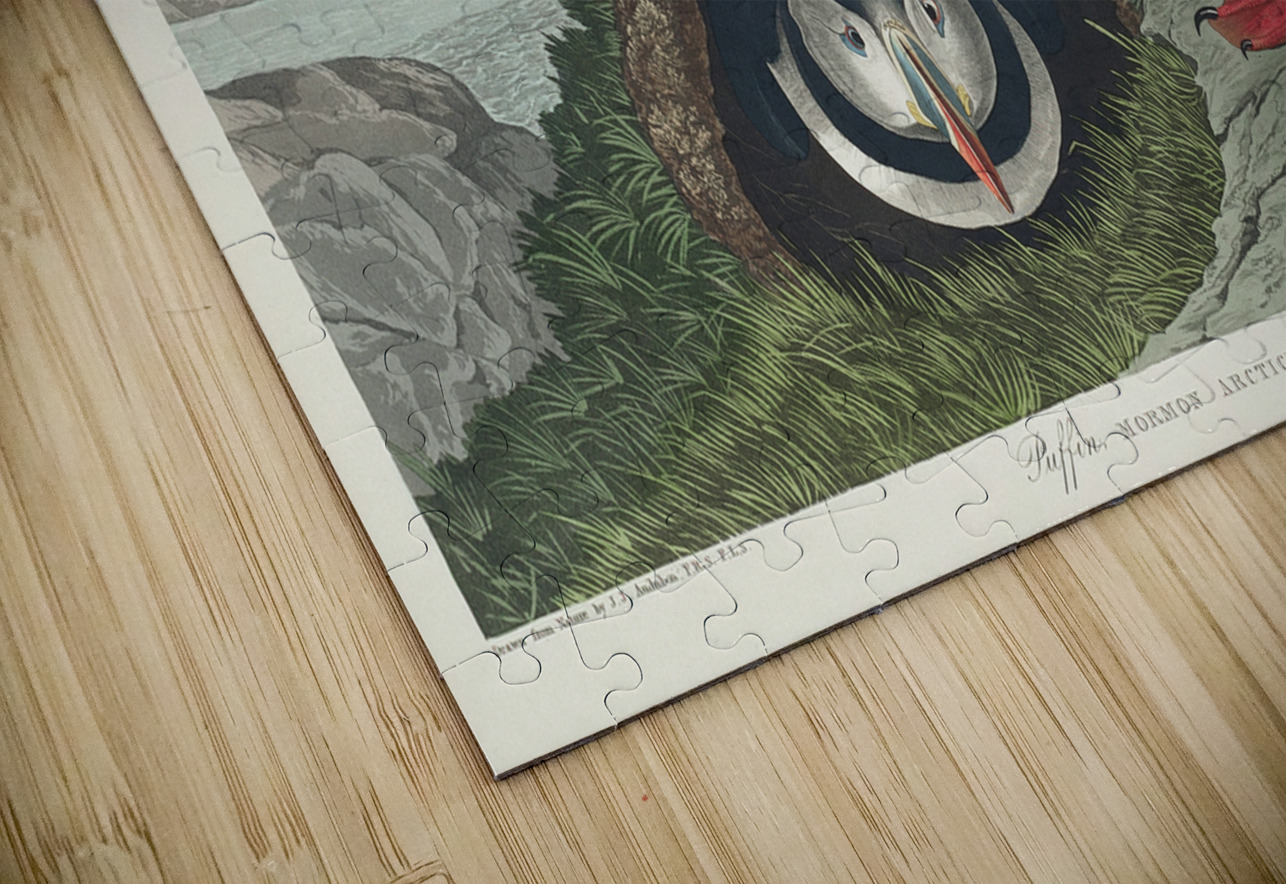 Puffin IStockHistory com Puzzle