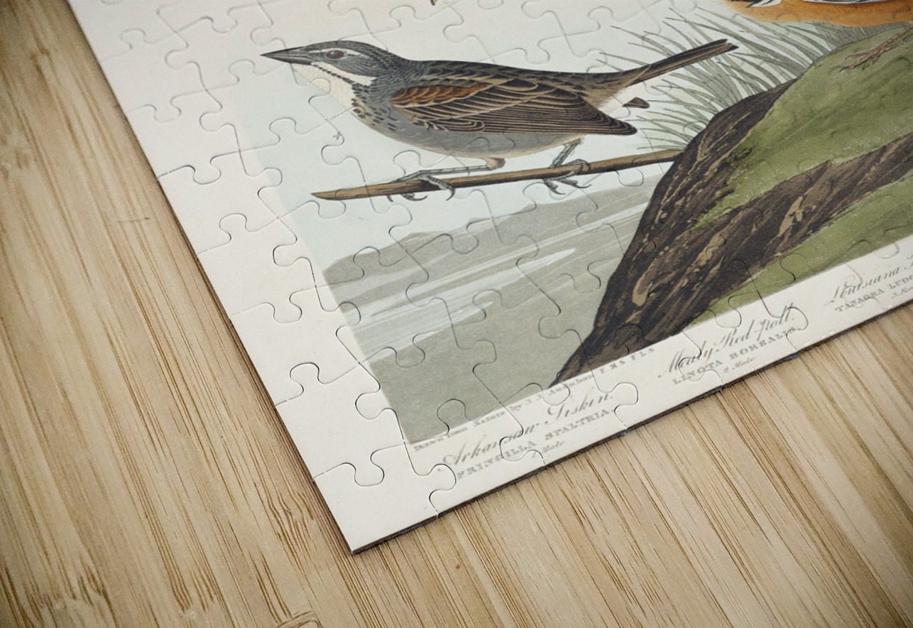 Arkansaw Siskin Mealy Red-poll Louisiana Tanager Townsends Bunting and Buff-breasted Finch IStockHistory com Puzzle