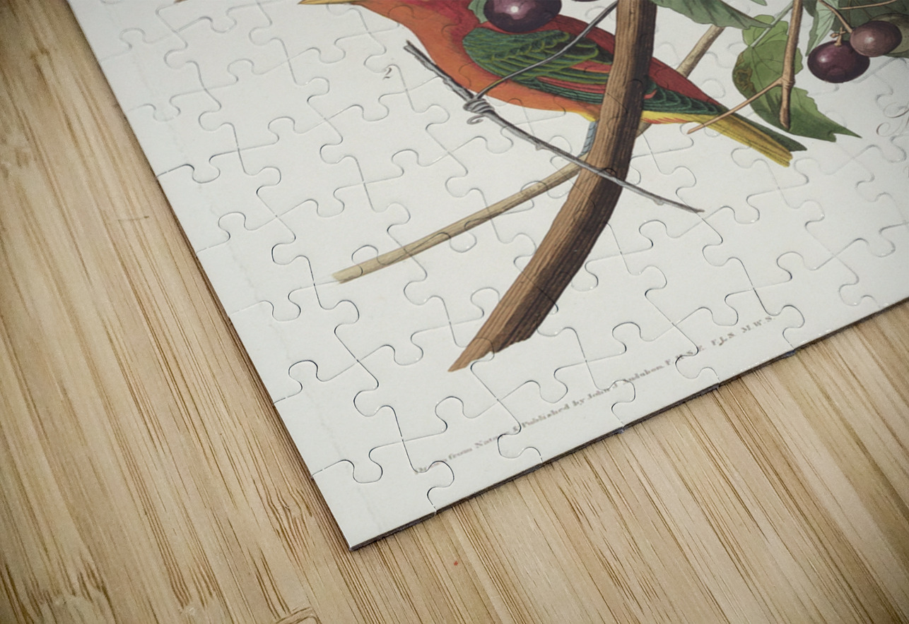 Summer Red Bird IStockHistory com Puzzle