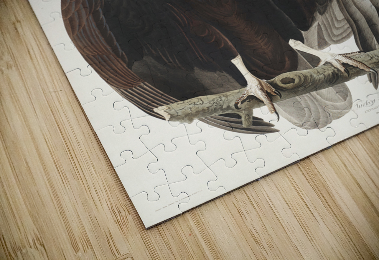 Turkey Buzzard IStockHistory com Puzzle