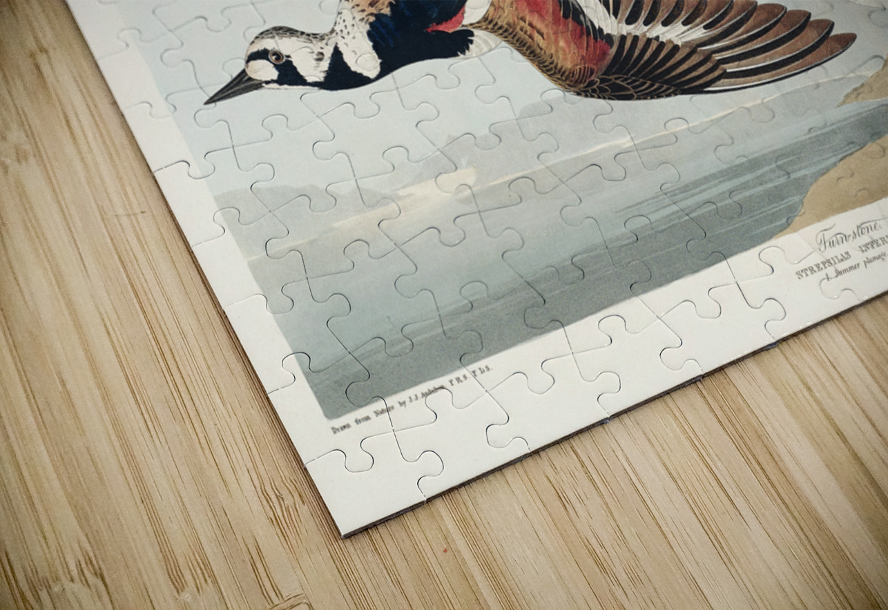 Turn-stone IStockHistory com Puzzle