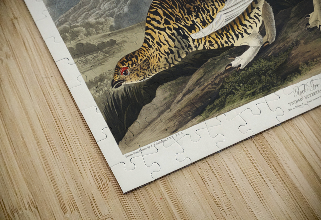 Rock Grous IStockHistory com Puzzle