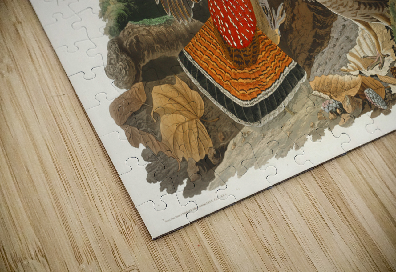 Ruffed Grouse IStockHistory com Puzzle