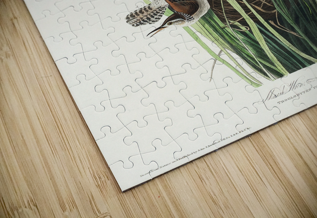 Marsh Wren IStockHistory com Puzzle