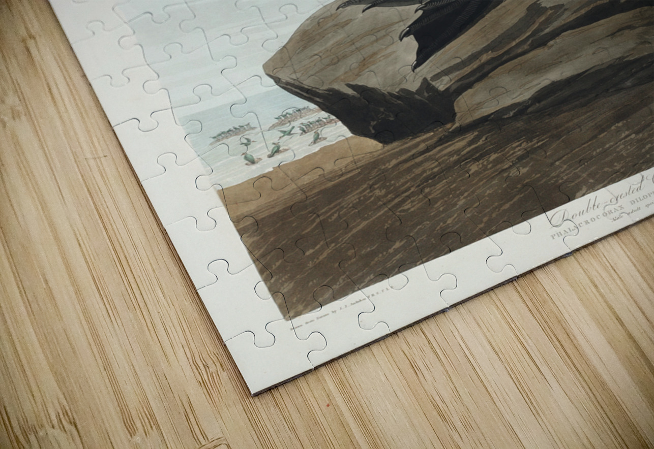 Double-crested Cormorant IStockHistory com Puzzle