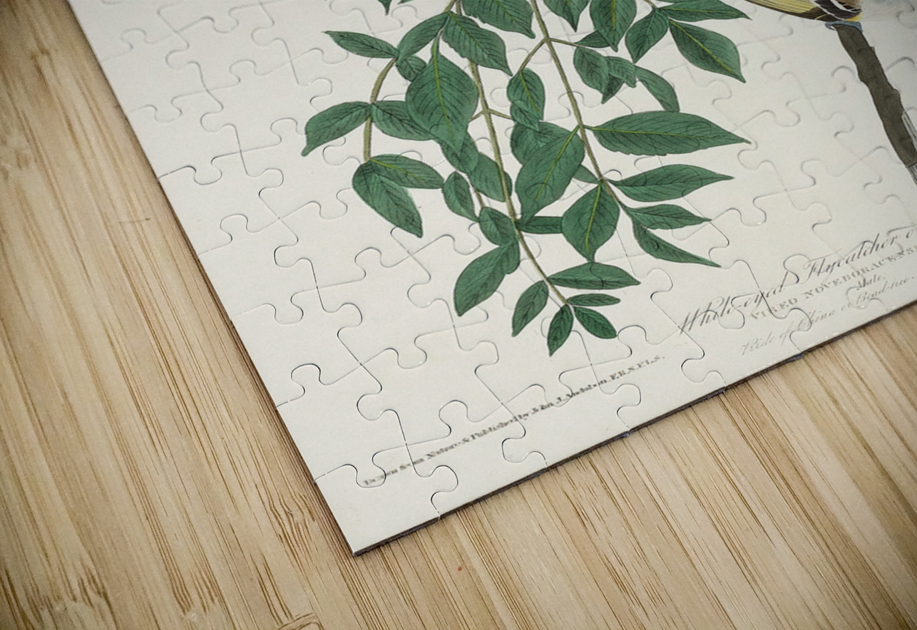 White-eyed Flycatcher or Vireo IStockHistory com Puzzle