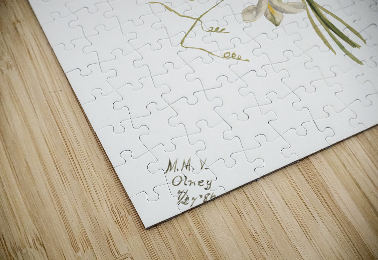 Flower Study 1886 IStockHistory com Puzzle