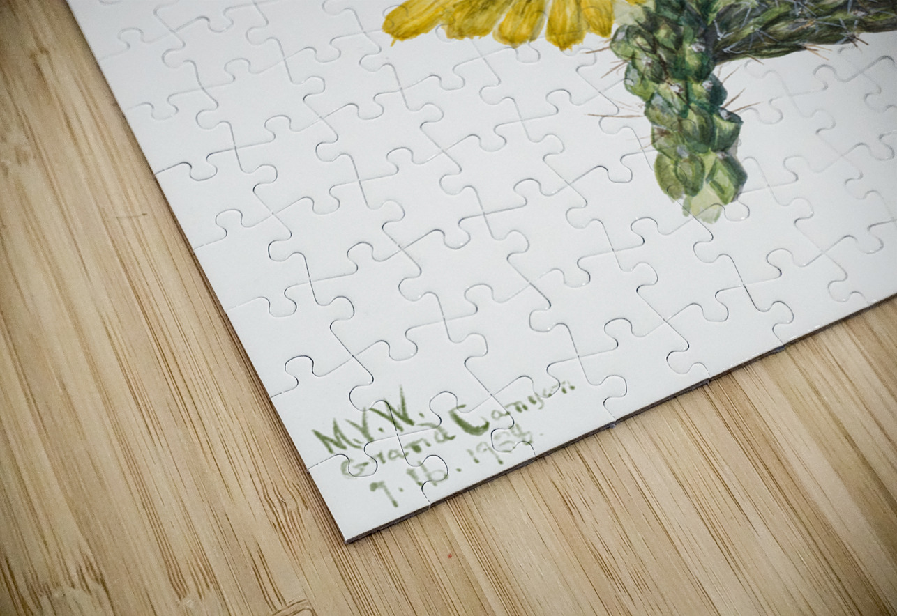 Cylindropuntia whipplei 1938 IStockHistory com Puzzle