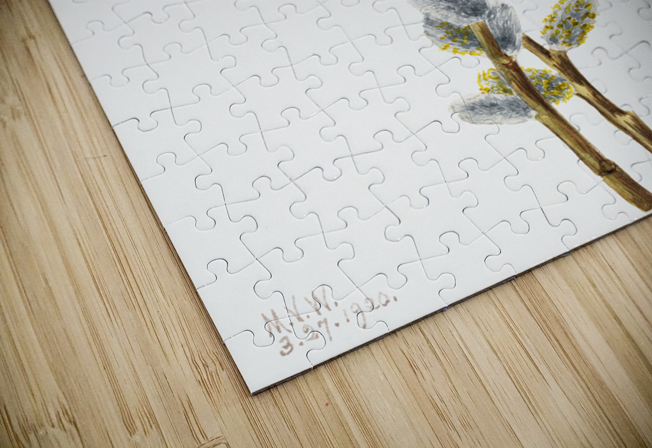 Pussy Willow Salix discolor 1920 IStockHistory com Puzzle