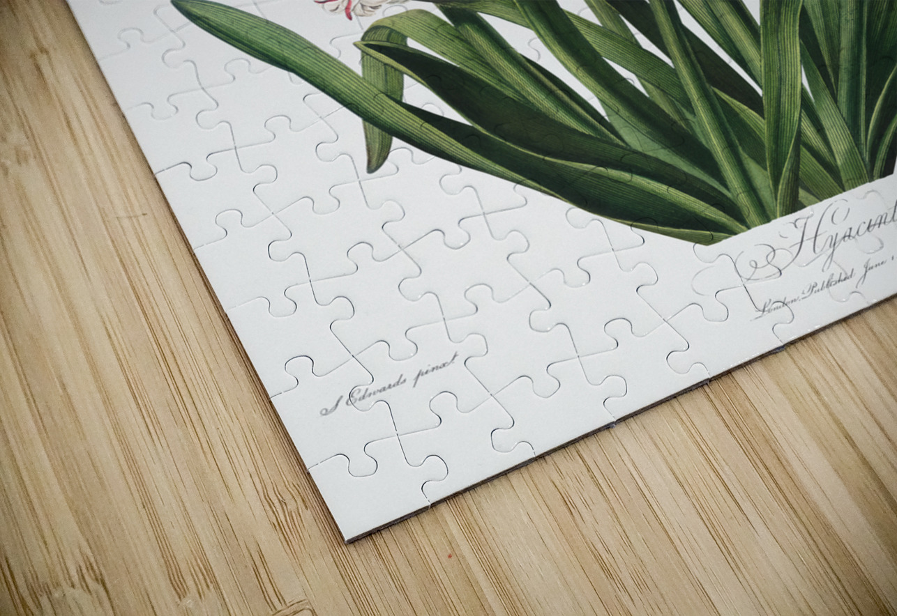 The Winged Passion-Flower IStockHistory com Puzzle