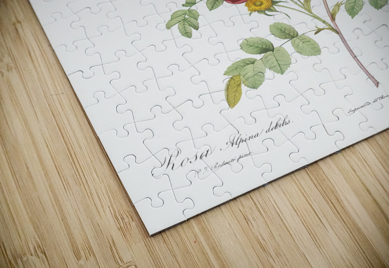 Vintage alpine rose IStockHistory com Puzzle