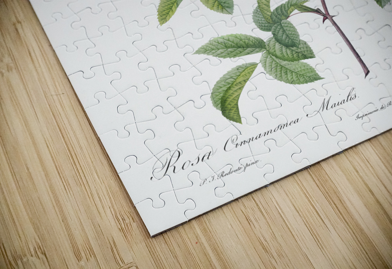 Vintage cinnamon rose IStockHistory com Puzzle