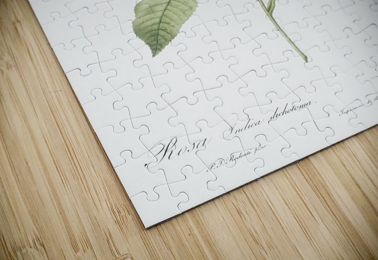 Vintage china rose IStockHistory com Puzzle